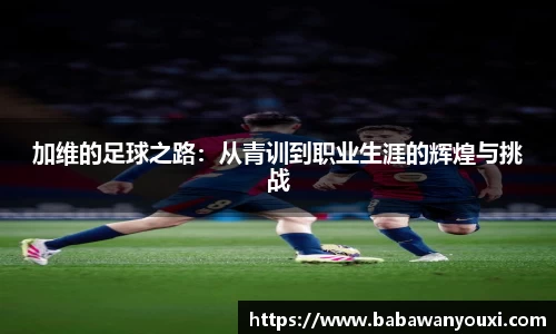 熊猫体育官网